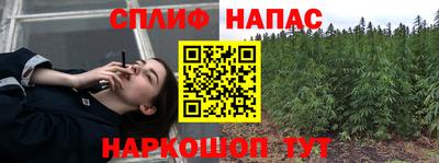 тгк Гай