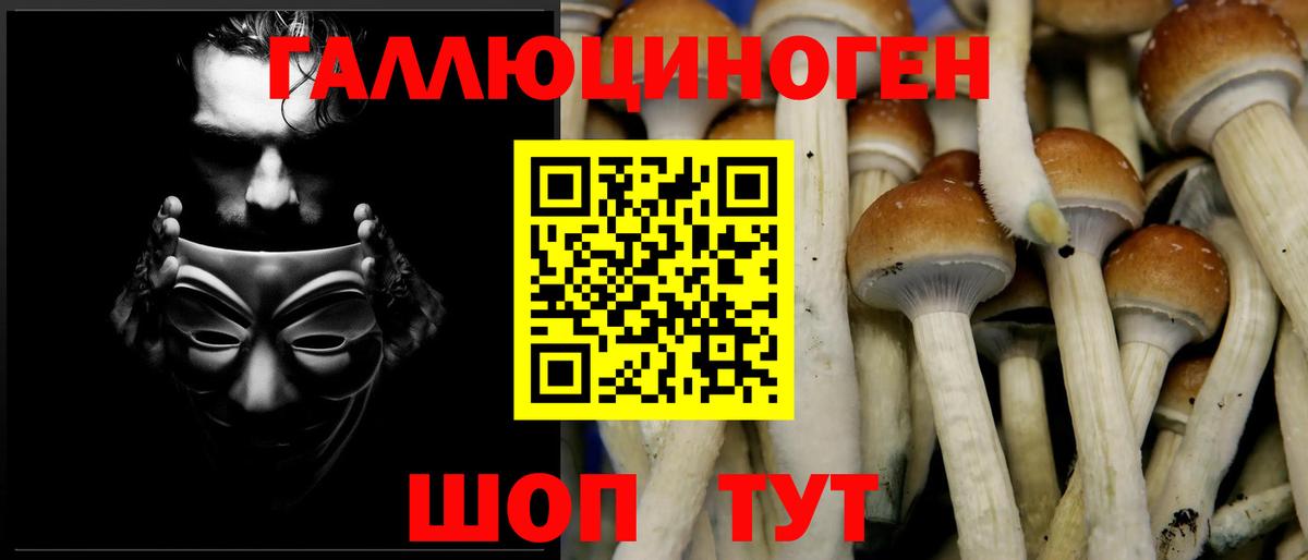 Мариинск  Псилоцибиновые грибы GOLDEN TEACHER  Вход с VPN 